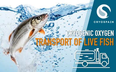 Mantenimiento criogénico vital para el traslado de peces vivos por la carretera