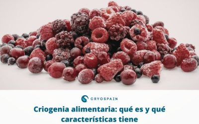 Criogenia alimentaria: qué es y qué características tiene