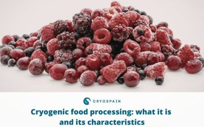 Cryogenic food processing: what it is and its characteristics