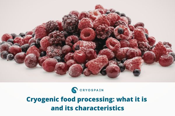 Cryogenic food processing: what it is and its characteristics